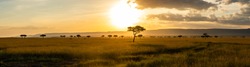A panoramic view on the Masai Mara while sunset