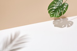 Side view green tropical palm leaf. Still life with sunlight and harsh shadow. White empty table and beige wall. Minimal summer concept with monstera palm leaf and shadow. Beige wall background