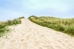 A passage over the sand dune covered with beach grass, List, Sylt, Germany
This special  grass protects the sand dunes from eroding.
