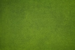 Green Texture Background - Grassy Green Texture