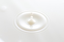 A Simple Drop of Milk into a Bowl of Milk
