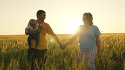 Dark-haired mother and father joining hands walk across field with high grass holding in arms baby son against bright back sunset light closeup