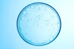 some circle bubbles in a petri dish on blue background.