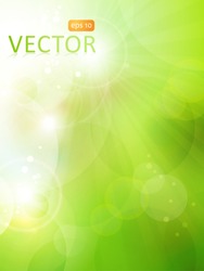 Abstract green blurry background with overlying semitransparent circles, light effects and sun burst. Great spring or green environmental background. Space for your text. EPS10