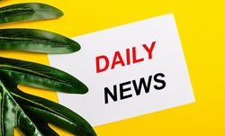 White sheet of paper with the inscription DAILY NEWS on a bright yellow background near the green leaf of the plant. Eco natural banner concept