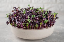 Fresh radish microgreens, mix of green and purple leaves in a ceramic bowl. Vegan and healthy eating concept. Micro herbs. Copy space.