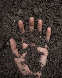 Hand buried in the soil.