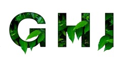 Leaf font G,H,I isolated on white background. Leafs font G,H,I made of Real alive leaves with Previous paper cut shape of font. Leafs font