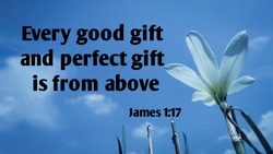 Every good gift and perfect gift is from above bible verse printed on nature photography