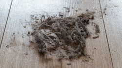 A pile of dust on the floor which includes fallen woman hair and house grime