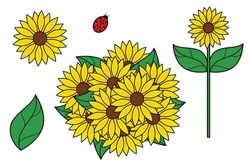 Sunflower assets collection design with ladybug, green leaf, sunflower plant, and bouquet on white background.