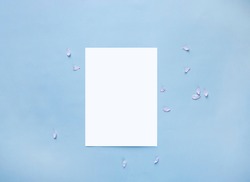 Top view of a white card mockup with almond flowers petals on blue background. 