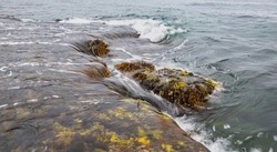 Long exposure and paroramic view of sea wave on seaweeds at Multong(bucket) Rock near Pohang-si, South Korea 
