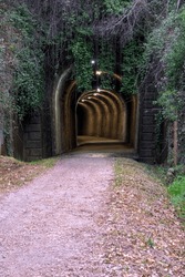 Illuminated tunnel in via verde de la Plata, Extremadura Spain, Eurovelo, path with vegetation, vertical