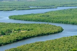 Mangrove in Paraiba River, Joao Pessoa, Paraiba, Brazil on March 10, 2010. Aerial view.