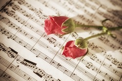 Two Pink roses on sheets of musical notes close up