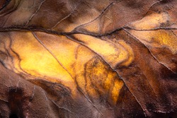 Dry leaf surface texture. Macro photo. Fall. Abstract illustration of fiery waves. Yellow-brown pattern on a dry sheet. Autumn natural texture. Beautiful autumn leaf. Red waves on the leaf