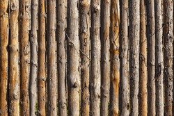 Wooden fence. Wooden trunks. Very old wood texture. A row of wooden posts. Wood texture. Wood trunk surface texture. Surface of wooden branches