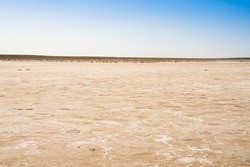 Saline. Salt on the surface of the earth. Dried up sea. Saline soil texture. Drought. Cracks in the soil surface. Desert. Salty soil.  Desert Plants