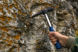 geologist's hand strikes a limestone mossy rock with a geological hammer to take a sample