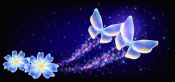 Flying transparent delightful two  butterflies and flowers with sparkle and blazing trail flying in sky among shiny glowing stars in cosmic space. Animal protection day concept.
