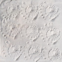 seashell prints on a sand, top view. pattern of imprints of seashells on a beach. summer vacation and travel concept