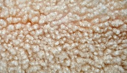 Animal background view. Close up to White Sheep's fluffy wool on background.