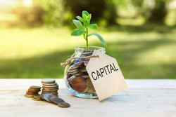 Capital. Glass jar with coins and a plant in it, with a label on the jar and a few coins on a wooden table, natural background. Finance and investment concept. High quality photo