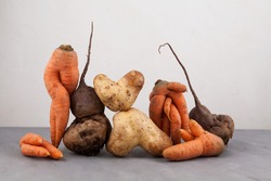 Ugly vegetables, side view, close-up. Concept - Food organic waste reduction. Using in cooking imperfect products.