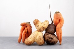 Ugly vegetables, close-up. Concept - Using in cooking imperfect products. Food organic waste reduction.