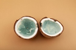 Moldy spoiled coconut, split into two halves. Pulp with mold. Improper food storage. Concept - Reduction of organic waste.