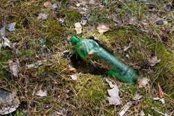 Used disposable green plastic bottle in forest. Pollution environment. Long decaying waste in nature.