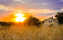 Sunset on the Homestead with wheat field waving