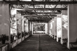 Symmetrical view of the passageway of a romantic style garden covered by an old pergola in black and white