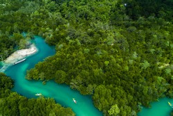 aerial view of kayaking along the mangrove forest of Ko Payam, Ranong, Thailand