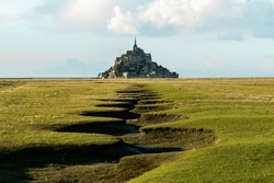 Grassland in front of Mont-Saint-Michel during sunset, Normandy, France 