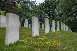 war graves in a military cemetary