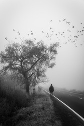 Man passing under a tree in the fog, birds flying away. Soft focus and motion blur underline the concept of passing. 