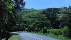 Empty road in Ciwidey tea plantation