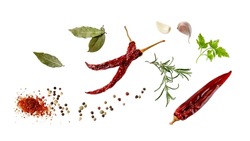 Aroma spice card: dried red hot chilli peppers, cloves garlic, mix peppercorn, bay leaves, rosemary and parsley fresh herb. Aromatic spicy ingredients for cuisine isolated on white background