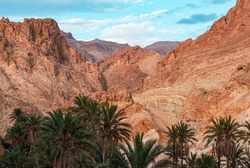 Atlas Mountains. Oasis de Chebika with dates palm trees between the rocks and mountains in the middle of the desert. Desert canyon, Grand Canyon of Tunisia. Near the boarder of Algeria.