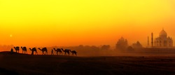 Taj Mahal Sunset view in India. Panoramic landscape with camels silhouettes and Tajmahal indian palace