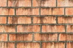 a stained closeup retro style vintage  brick wall weathered mold surface aged bricks moldy
