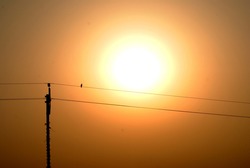 a single alone bird is sitting on a electric wire in the time of sunset in natural light , a silhouette bird photo