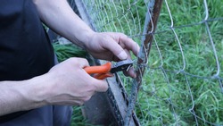 cutting the wire fastening the mesh fence with wire cutters in men's hands, installing and fixing the galvanized mesh enclosing the territory, working with a hand tool