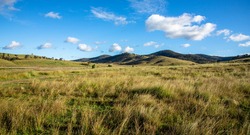 Rolling, grassy fields and hills in Southern Queensland Country, Ballandean, Australia.