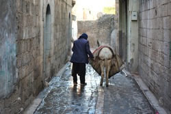 Old man and donkey walking on the street.