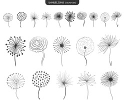 Set of abstract graphic doodle dandelions. Design element for fabric, wrapping paper, congratulation cards, print, banners. Hand drawn fluffy dandelion. Black and White vector illustration. EPS 10.