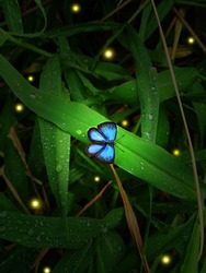 blue butterfly on green leaf among light of any fireflies