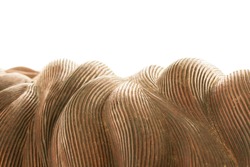 Wood carving. Macro photography. Wood sculpture detail. White background